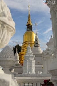 วัดสวนดอก11