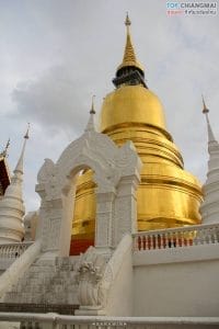 วัดสวนดอก50
