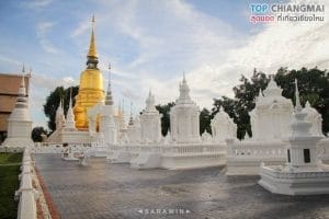 วัดสวนดอก6