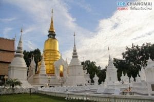 วัดสวนดอก8