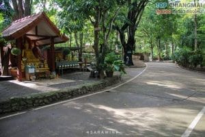 วัดอุโมงค์ (6)