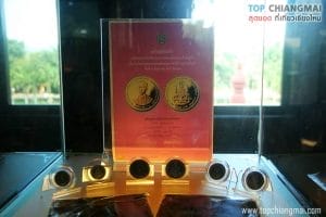 ราชพฤก101