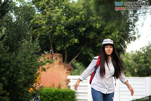 ราชพฤก50