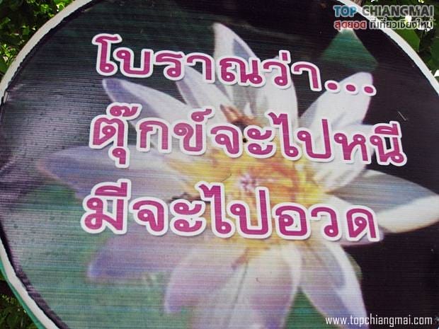 วัดทรายมูล4