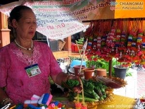 วัดบ้านมอญ31