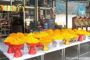 วัดหนองก๋าย8