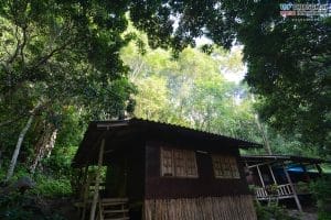 บ้านต้นไม้ แม่แมะ (13)