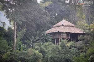บ้านต้นไม้ แม่แมะ (41)