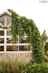 THE BARN (22)