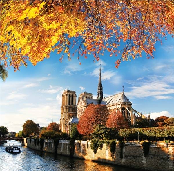 notredame_117128485_ss