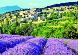 provence_1096487_dt