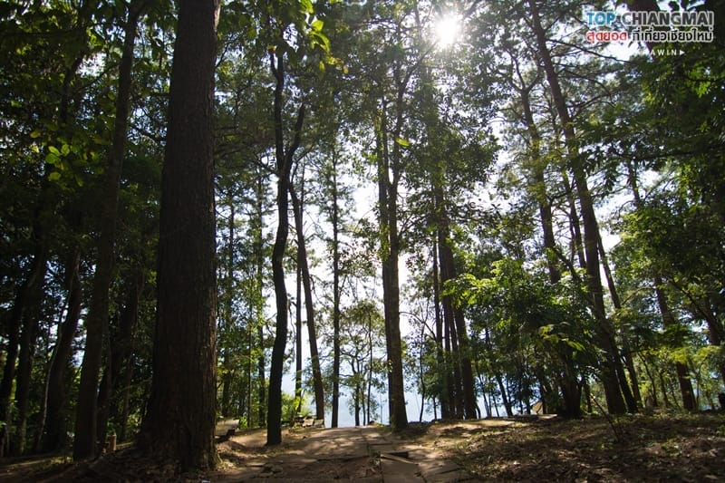 จุดชมวิวผาดำ พระตำหนักภูพิงค์3-2