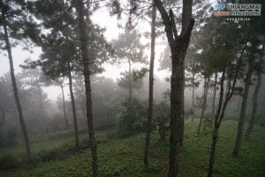 doi-pha-hom-pok-11