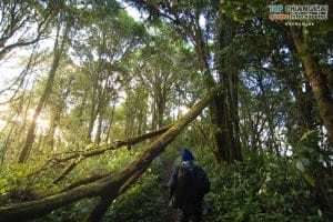 doi-pha-hom-pok-48