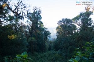 doi-pha-hom-pok-50