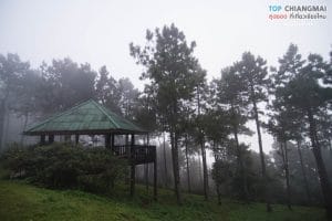 doi-pha-hom-pok-7