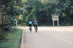 foresta-villa-chiangmai20