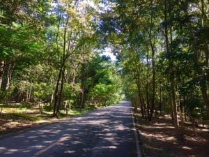 foresta-villa-chiangmai21
