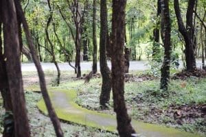 foresta-villa-chiangmai22