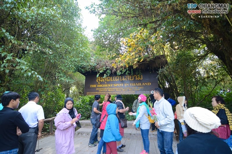 most-of-siam-1