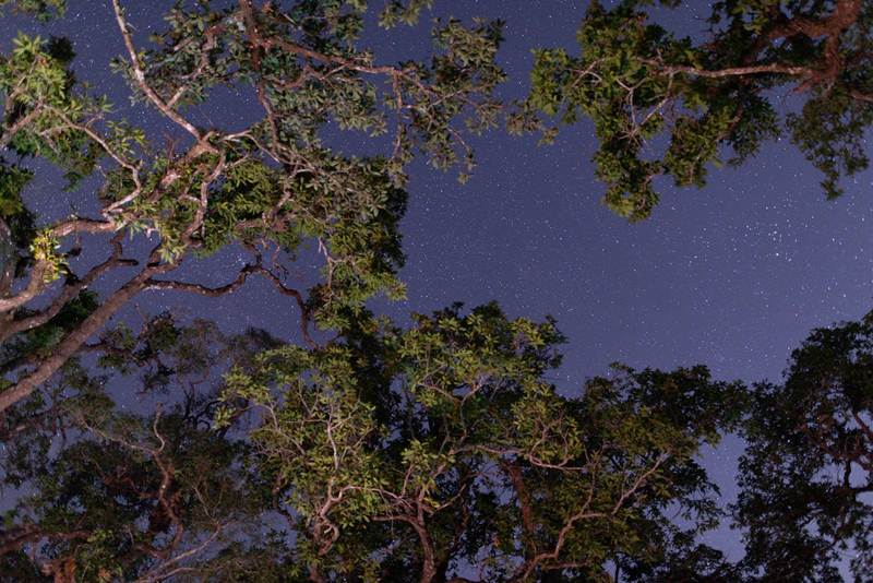 ม่อนล่อง (3)